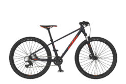 wild speed 26 disc