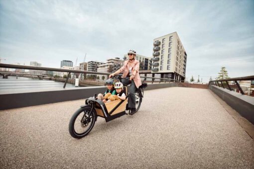 BERGAMONT E-CARGOVILLE LJ EDITION - Afbeelding 6