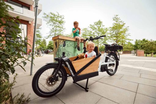 BERGAMONT E-CARGOVILLE LJ EDITION - Afbeelding 4