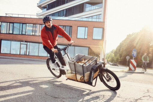 BERGAMONT E-CARGOVILLE LJ EDITION - Afbeelding 7