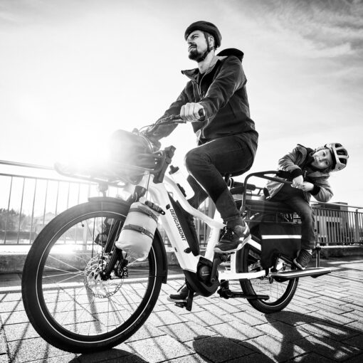Bergamont E-Cargoville LT Edition / Elite - Afbeelding 3