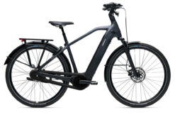Giant Anytour E+6 DD
