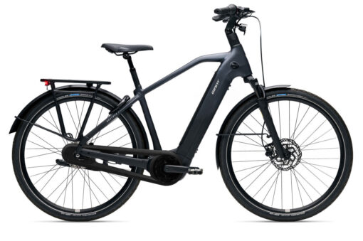 Giant Anytour E+6 DD