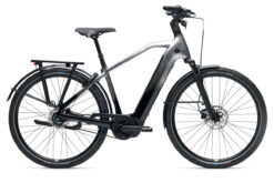 Giant Anytour E+5 DD